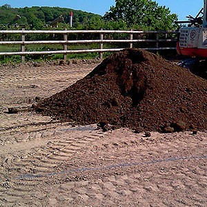 images/hp/horse.jpg#joomlaImage://local-images/hp/horse.jpg?width=300&height=300